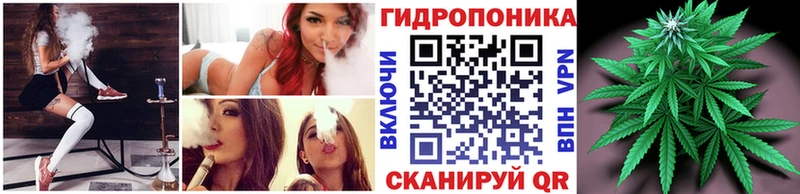 Шишки марихуана планчик  Перевоз 